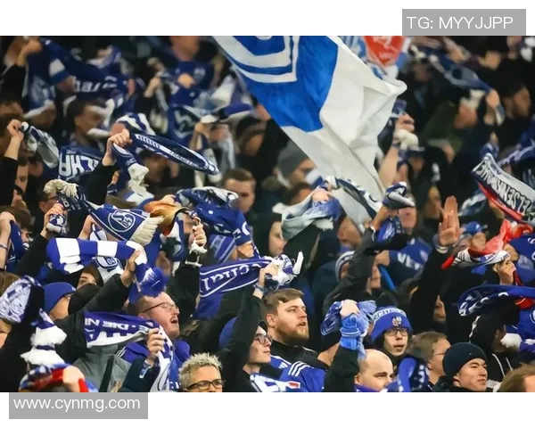 沙尔克04迎势头,德甲保级前景看涨 沙尔克04迎势头,德甲保级前景看涨